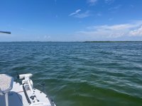 IMG_3997.jpeg