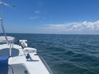 IMG_3996.jpeg