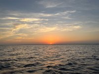 IMG_4007.jpeg