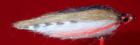 P5290547.JPG P5290547.JPG