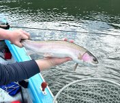 IMG_20250526_180917075.jpg