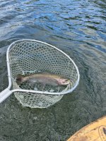IMG_0719.jpeg