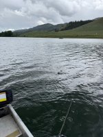 IMG_0730.jpeg