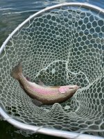 IMG_0746.jpeg