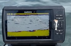 IMG_0750.jpeg