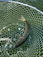 IMG_0752.jpeg