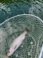 IMG_0753.jpeg
