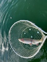 IMG_0754.jpeg