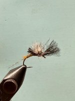 IMG_2085.jpeg