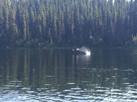 IMG_2356.JPG