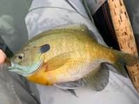 IMG_7199.jpeg