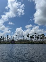 IMG_4085.jpeg