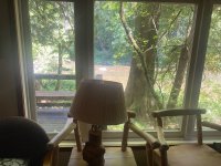 IMG_7351.jpeg IMG_7351.jpeg