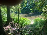 IMG_7346.jpeg IMG_7346.jpeg