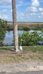 IMG_4010.jpeg