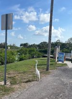 IMG_4012.jpeg