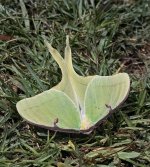 IMG_4018.jpeg