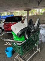 IMG_2954.jpeg