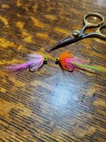 20241008_092934.jpg 20241008_092934.jpg