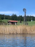 IMG_6460.jpeg IMG_6460.jpeg