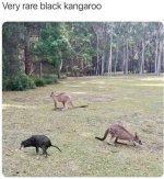 IMG_2630.jpeg