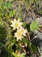 IMG_9064.jpeg