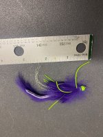 IMG_5382.jpeg IMG_5382.jpeg