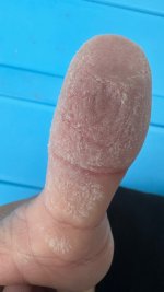 IMG_4416.jpeg