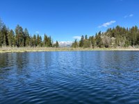 IMG_3602.jpeg