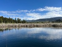 IMG_3603.jpeg