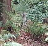 VideoCapture_20240318-113617.jpg
