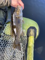 IMG_2657.jpeg