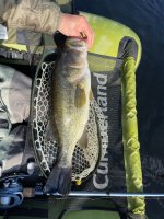 IMG_2650.jpeg