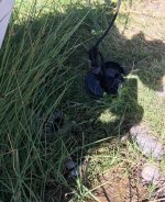 IMG_1139.jpeg
