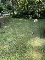 IMG_4642.jpeg