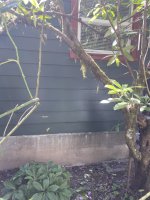 IMG_4644.jpeg