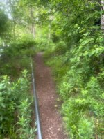 IMG_0935.jpeg IMG_0935.jpeg