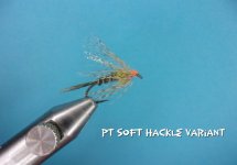 PT Soft Hackle Variant.jpg