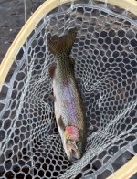 IMG_0938.jpeg IMG_0938.jpeg