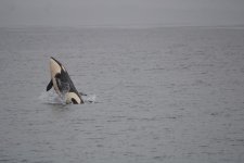20250603103245_IMG_4226(3).JPG