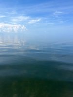 IMG_4039.jpeg