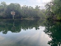 IMG_4048.jpeg