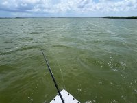 IMG_4073.jpeg