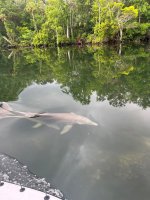 IMG_4051.jpeg