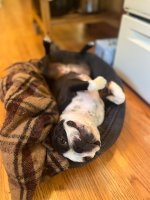 IMG_4116.jpeg
