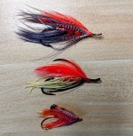 IMG_20250606_175116173~2.jpg