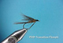 PMD Transition Flymph.jpg