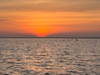 IMG_4030.jpeg