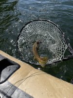 IMG_2737.JPG