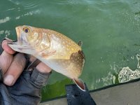 IMG_2744.JPG